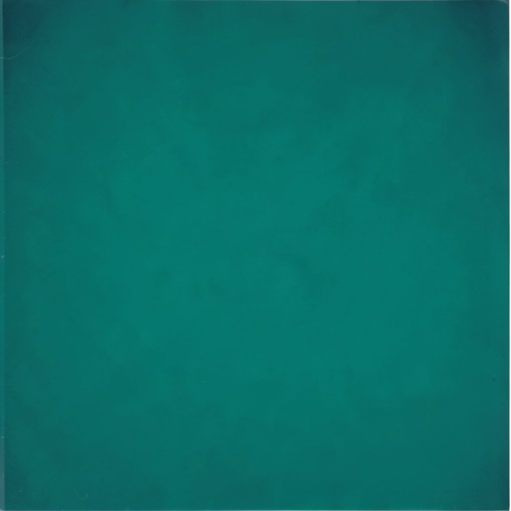 A contemplative duotone image in muted teal and cream, soft natural light, calm and reflective mood